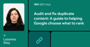 Wix SEO Learning hub complete gude to duplicate content